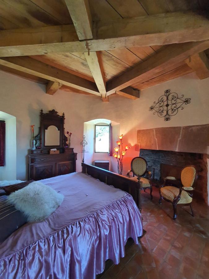Chambre D'Hotes Au Chateau De Belcastel Belcastel  Eksteriør billede