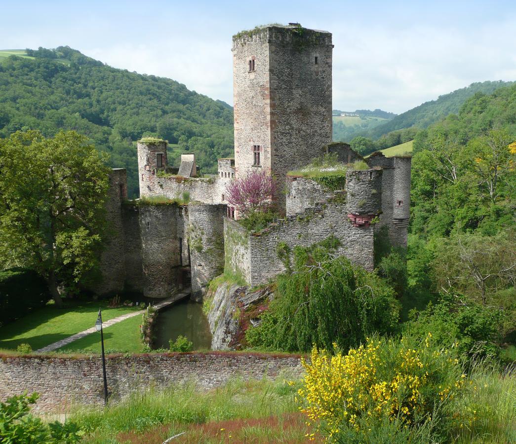Chambre D'Hotes Au Chateau De Belcastel Belcastel  Eksteriør billede